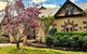 Seahorse Inn - thumb 2