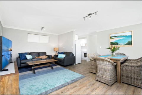 Seashells On Second! - Hobart Tourism 0