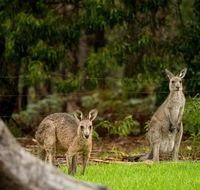 Secura Lifestyle Countryside Kalaru - Hobart Tourism