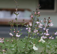 Serendipity on Allyn - Hobart Tourism