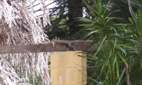 Shady Grove B&B - Tourism TAS 1