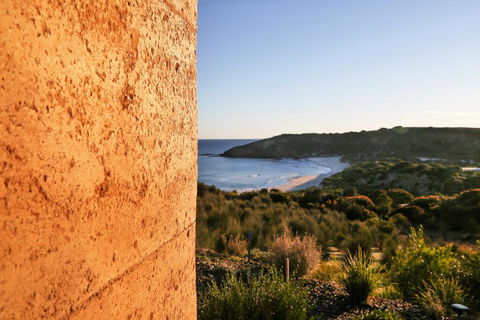 Sheoaks - Hobart Tourism 2
