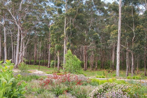 Shiraz Studio - Hobart Tourism 2