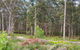 Shiraz Studio - thumb 2