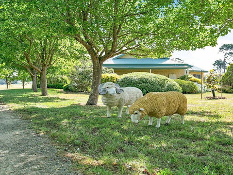 Sinden Park - Garden, Swimming Pool, Rural Vistas - Tourism TAS 2
