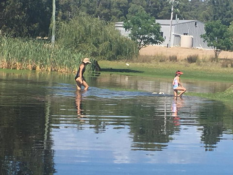 Something Different - Tourism TAS 1