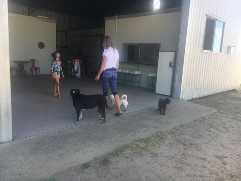 Something Different - Tourism TAS 2