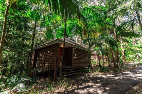 Songbirds Rainforest Retreat - Hobart Tourism 2