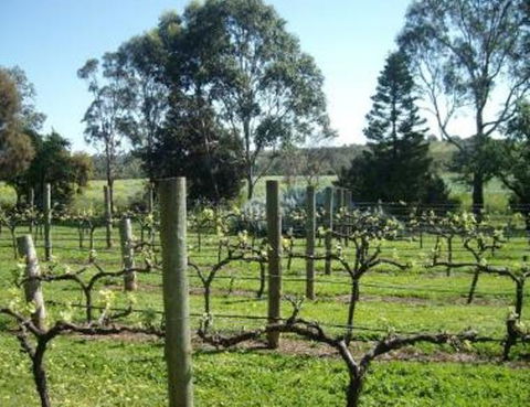 Southern Vales Bed & Breakfast - Hobart Tourism 1