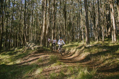 Spicers Peak Lodge - Tourism TAS 3