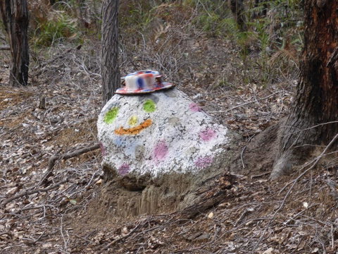Splendid Wren Cottage - Tourism TAS 3