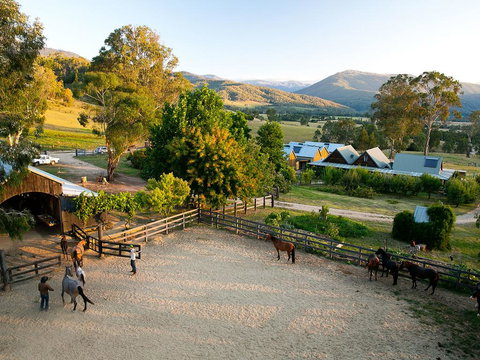 Spring Spur - Tourism TAS 3