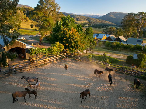 Spring Spur - Tourism TAS 0