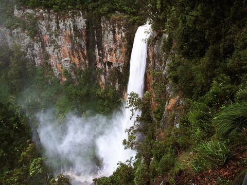 Springbrook Lyrebird Retreat - Hobart Tourism 2