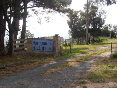 Springmead B&B - Tourism TAS 2