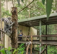 Springwood Meditation Centre - Tourism TAS
