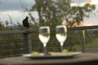 Book Forest Hill Accommodation Vacations Tourism TAS Tourism TAS