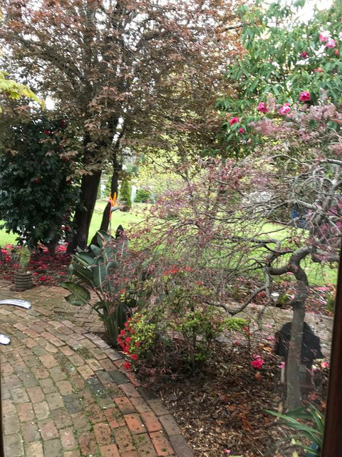 Stony Rise Cottage B&B - Tourism TAS 1