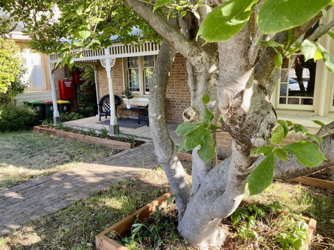 SUMMER HOUSE - CENTRAL LOCATION Near PARK - Tourism TAS 0