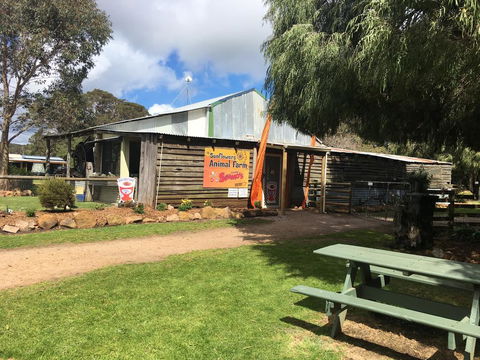Sunflowers Animal Farm & Farmstay - Tourism TAS 2