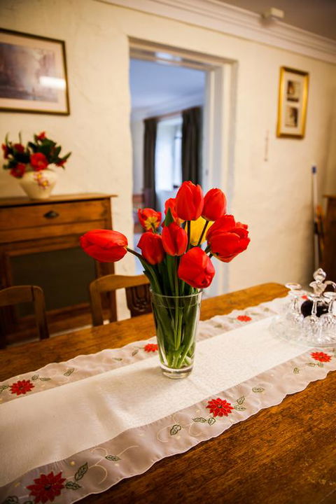 Sunnyside Cottage - Hobart Tourism 3