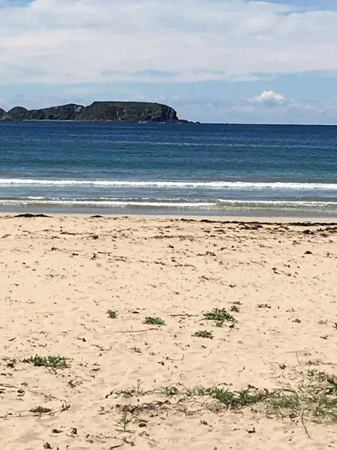 Surf Beach Holiday - Hobart Tourism 0