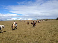 Book Hervey Bay Accommodation Vacations Hobart Tourism Hobart Tourism