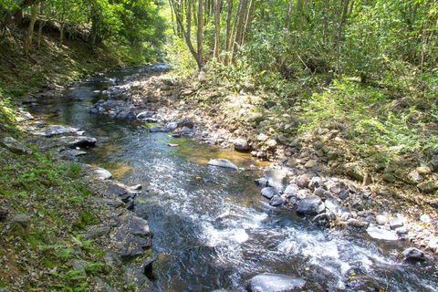 Tallaringa Views - Tourism TAS 0