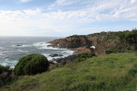 Tathra Hotel & Motel - Tourism TAS 1