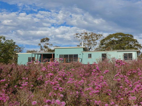 Tea Tree Hollow - 50 Percent Off Third Night On Weekend - Tourism TAS 1