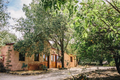 Terroir Auburn - Tourism TAS 0