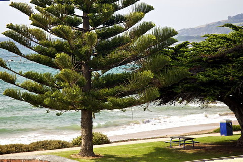 Penguin Beachfront Apartments - Tourism TAS 9