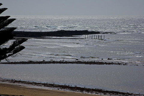 Penguin Beachfront Apartments - Tourism TAS 15