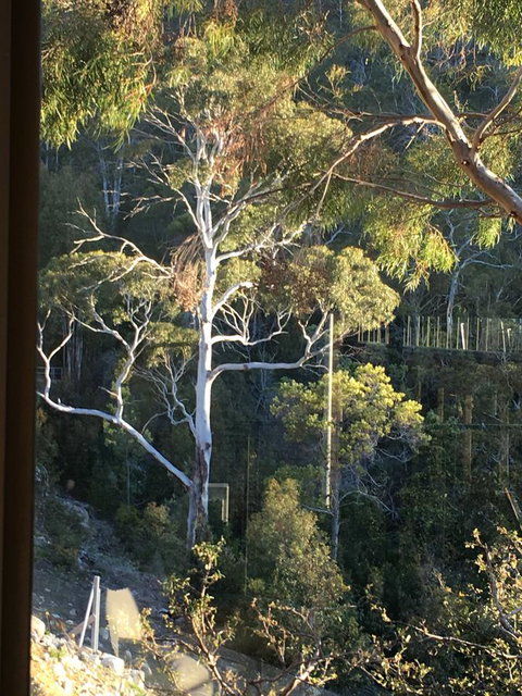 The Lookout - Tourism TAS 22