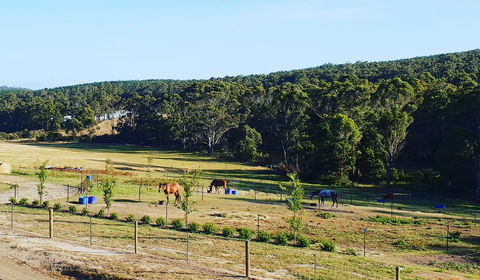 Lockleigh Park - Hobart Tourism 19