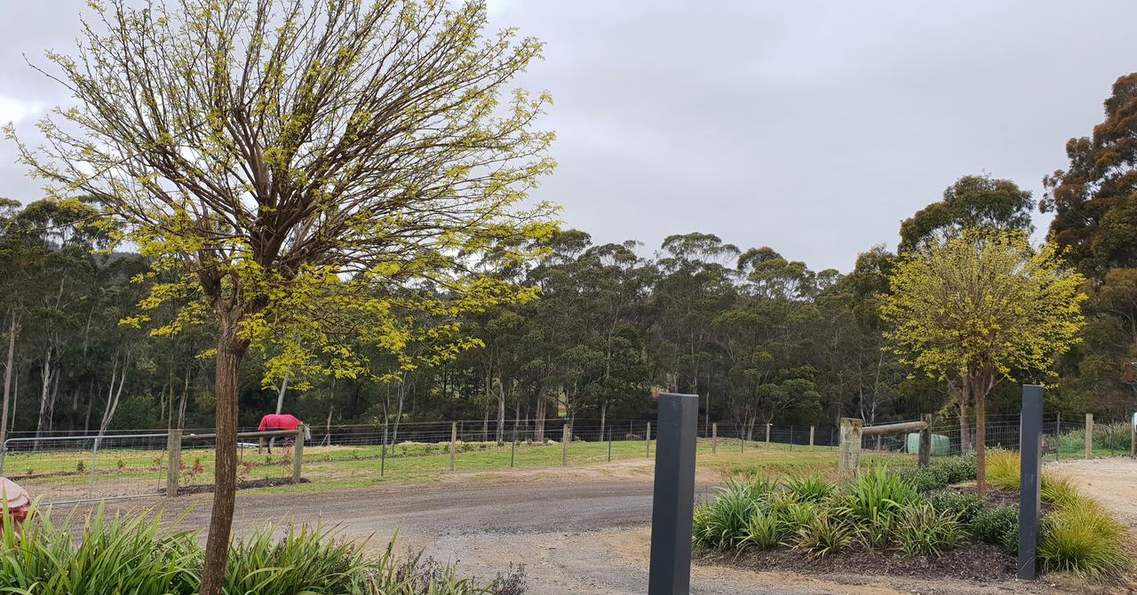 Wyena TAS Hobart Tourism