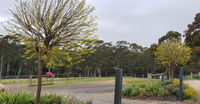 Book Lebrina Accommodation Vacations Hobart Tourism Hobart Tourism