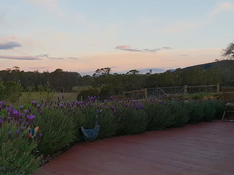 Lockleigh Park - Hobart Tourism 23