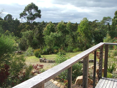 Southern Forest Accommodation - Hobart Tourism 21