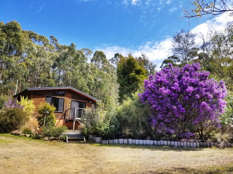 Southern Forest Accommodation - Hobart Tourism 10