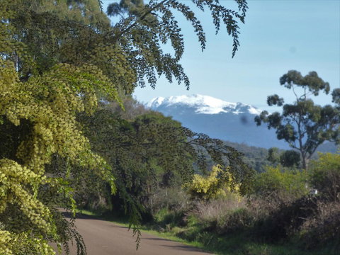 Southern Forest Accommodation - Hobart Tourism 24
