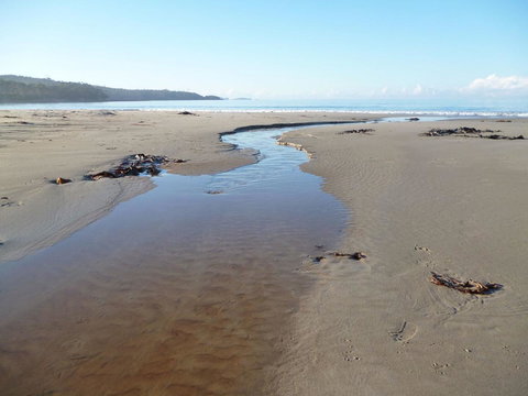 Southern Forest Accommodation - Hobart Tourism 28