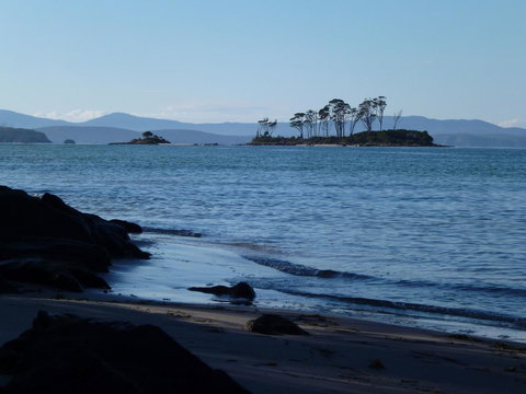 Southern Forest Accommodation - Hobart Tourism 26