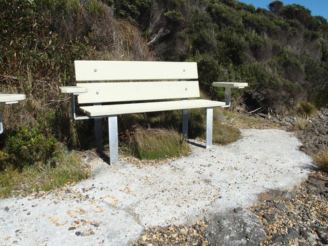 Seaspray - Hobart Tourism 23
