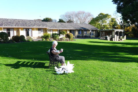 Willaway Motel Apartments - Hobart Tourism 10