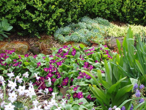 Topiary Haven - Tourism TAS 27