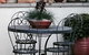 Topiary Haven - thumb 14