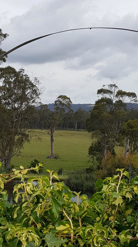 Hazelcreek Cottages - Tourism TAS 34
