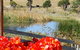 Hazelcreek Cottages - thumb 11