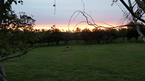 Hazelcreek Cottages - Tourism TAS 33